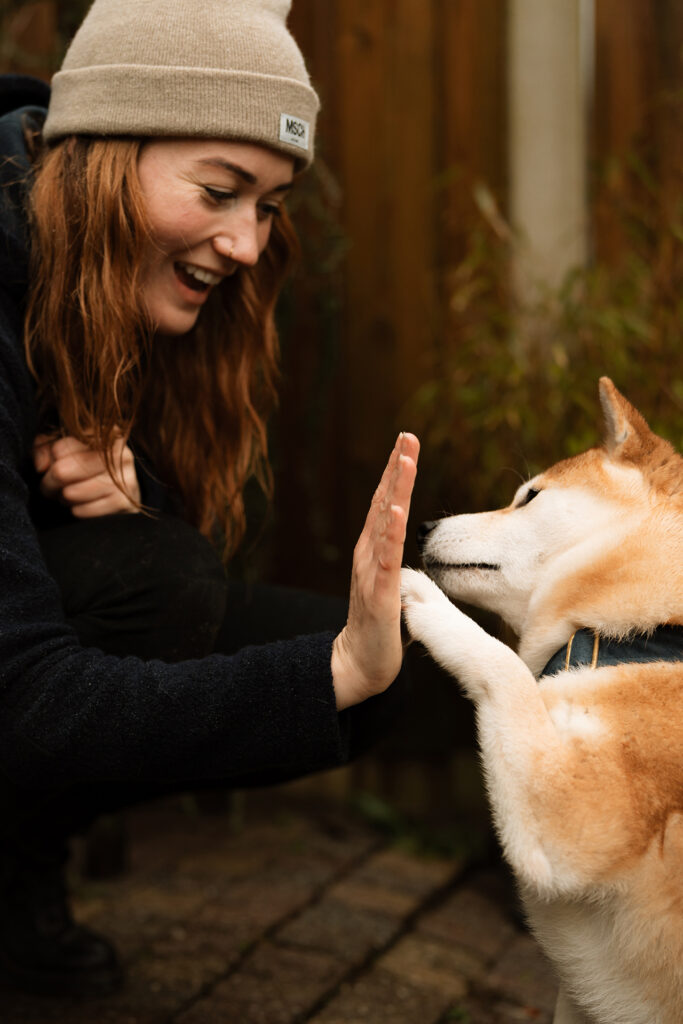 Fotoshoot met mijn hond
