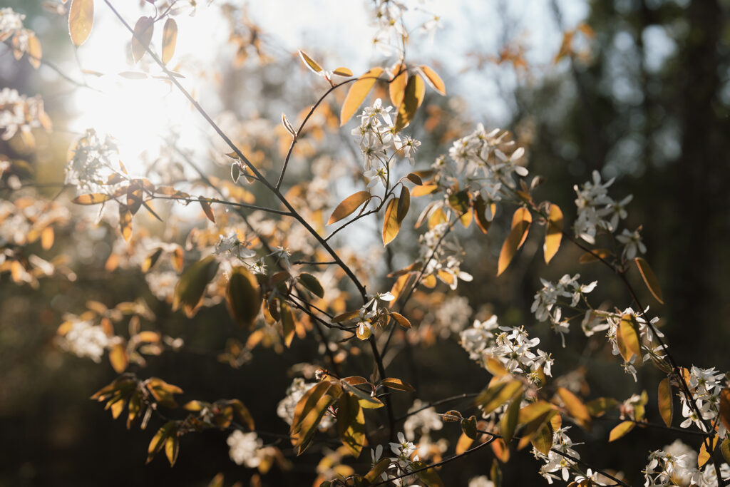 Kleding tips fotoshoot